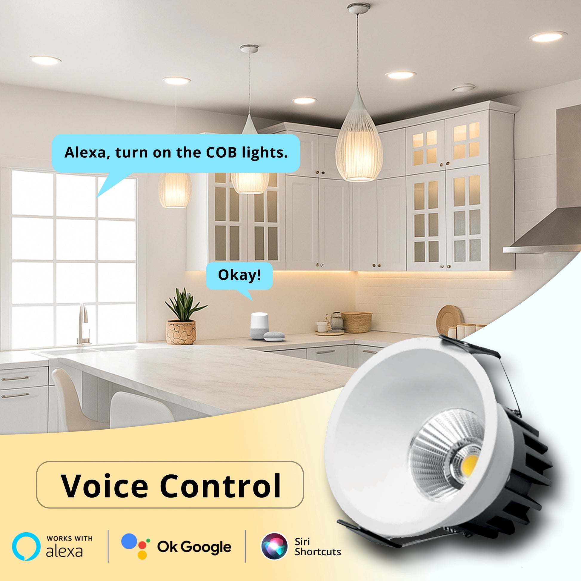 Smart CCT LED COB Light