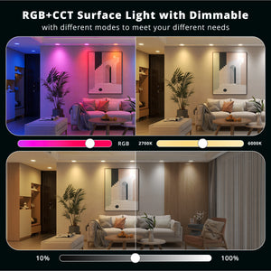 Smart LED Surface Light